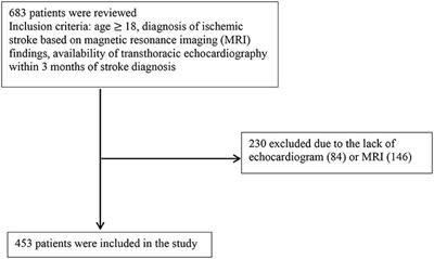 Left Atrial Dilatation and Reduced Left Ventricular Ejection Fraction Are Associated With Cardioembolic Stroke